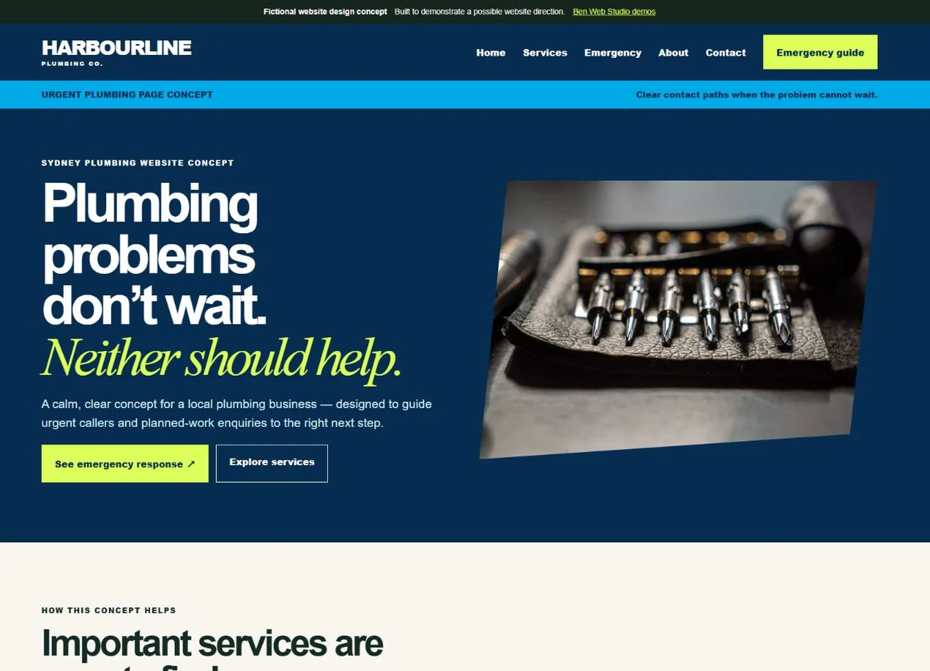Plumbing business website design concept